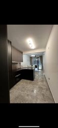Hyll On Holland (D10), Condominium #477583091